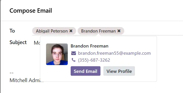Odoo 19 - Contact widget Emails