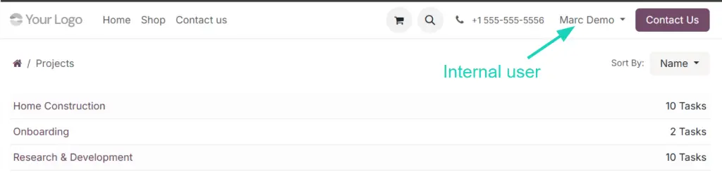 Odoo 19 Project View Portal Internal